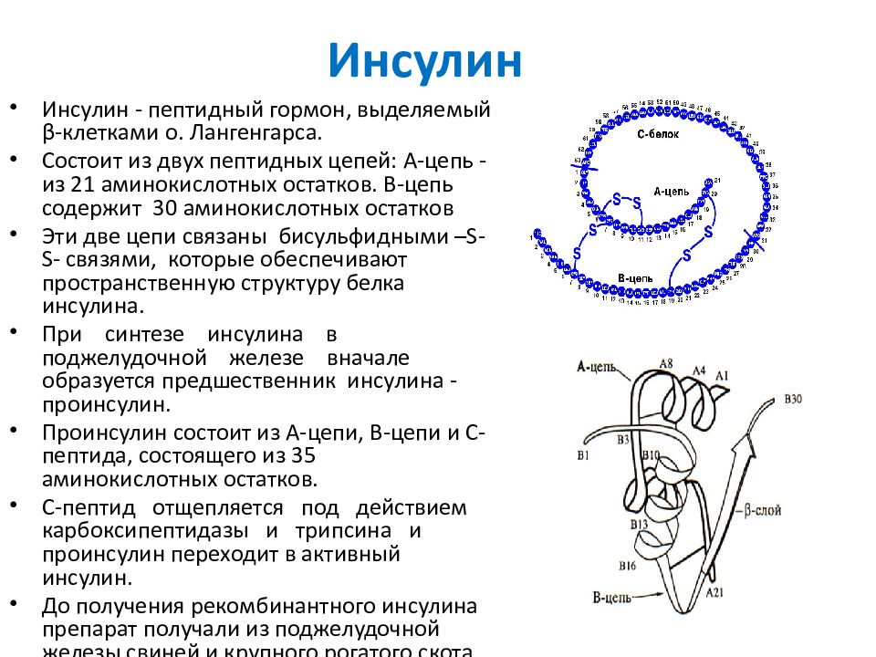 Современная технология получения рекомбинантного инсулина презентация