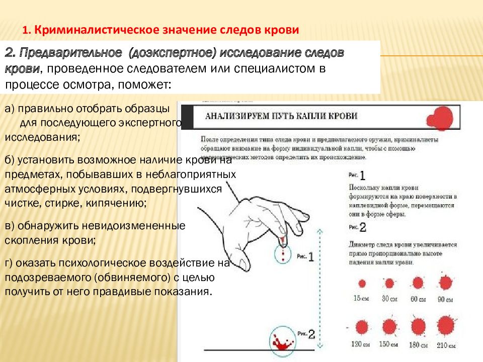 Следы на месте происшествия