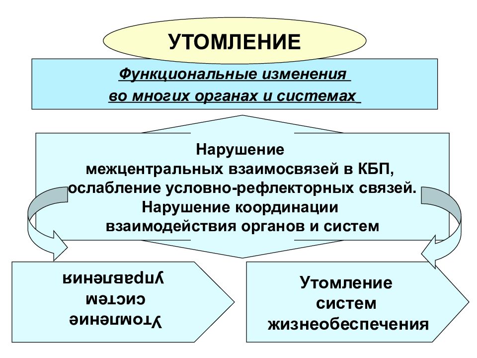 Функциональные изменения. Взаимосвязь координирующих систем организма. Физиологическая характеристика состояний организма это. Межцентральные связи. Физиологическая характ выделения.