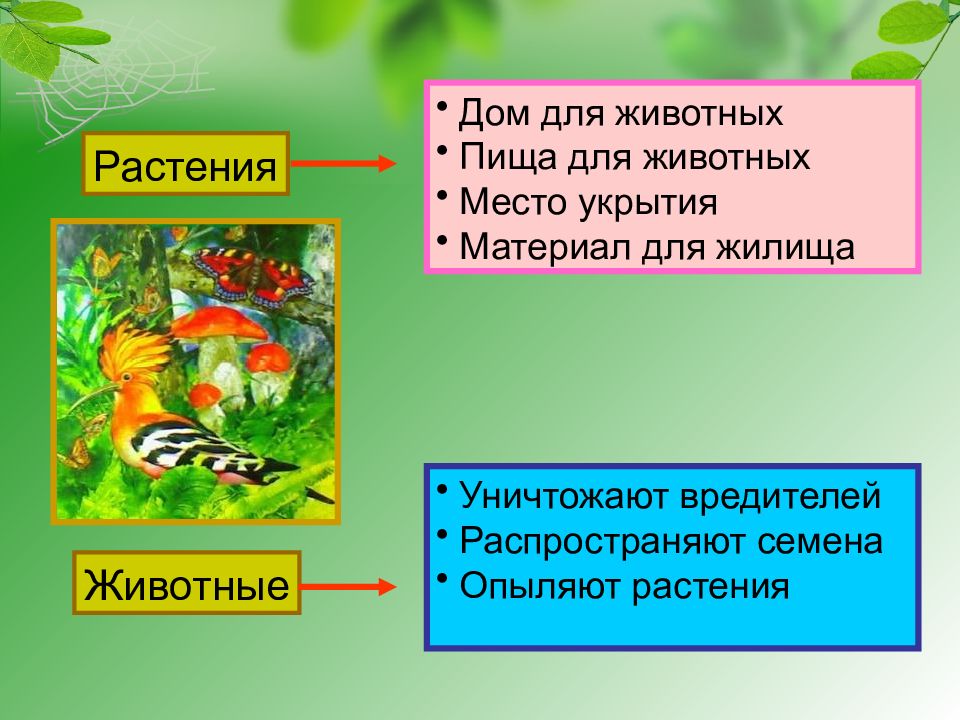 Окружающий мир 2 класс невидимые нити презентация