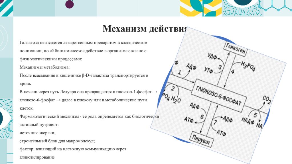 Механизм действия