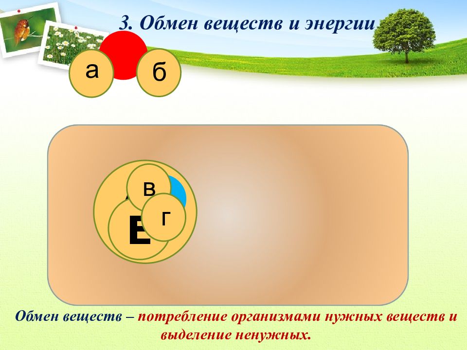 Обмен 4