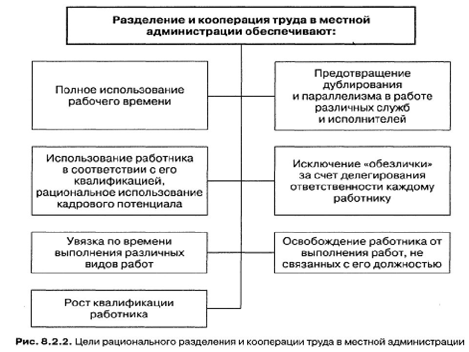 Природа органов местного самоуправления