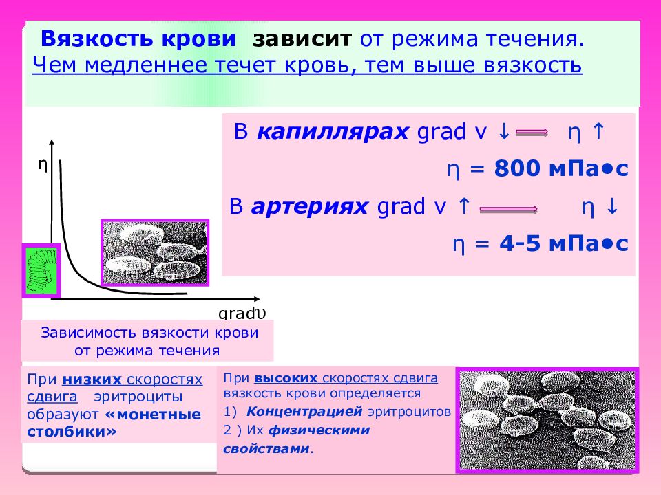 Вязкость. Вязкость крови. Вязкость крови зависит. Вязкость крови зависит от. От чего зависит вязкость крови.