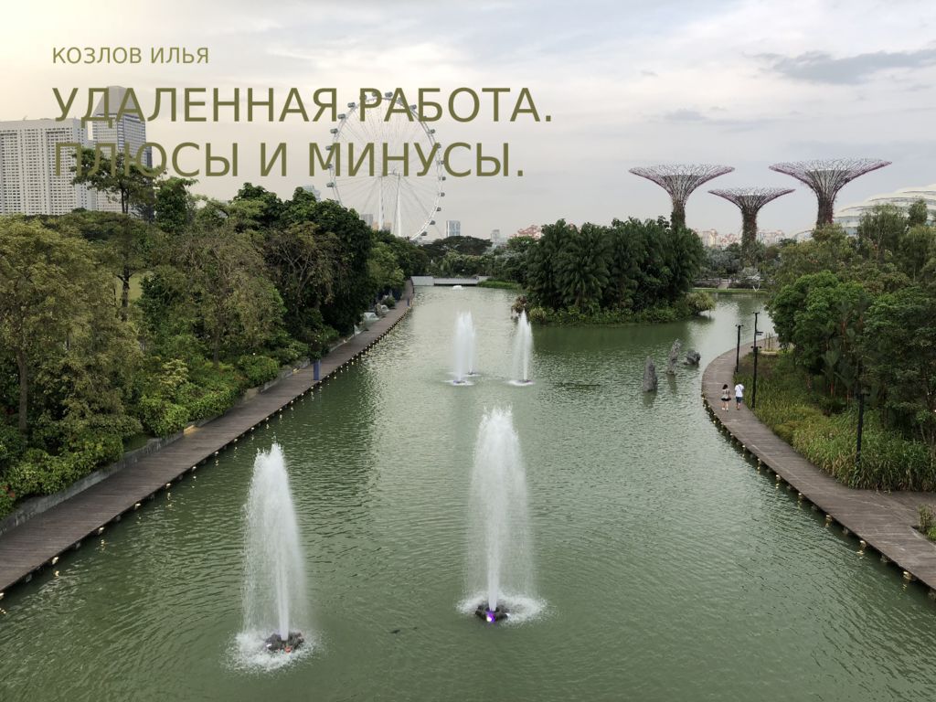 УДАЛЕННАЯ РАБОТА. ПЛЮСЫ И МИНУСЫ.