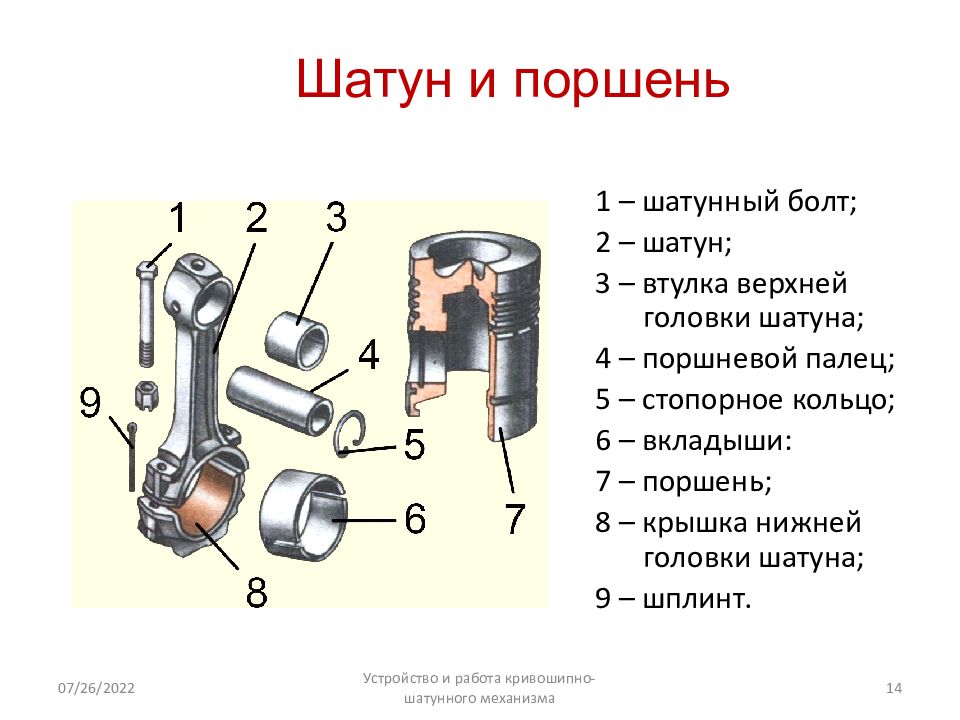 Систему кривошипно шатунного механизма. Поршень дизельного двигателя схема. Шатун двигателя устройство. Кривошипно-шатунный механизм основные детали схема. Кривошипно-шатунный механизм Назначение поршня.