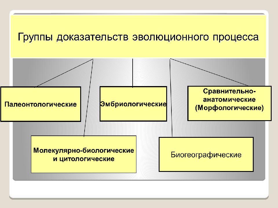 Доказательства макроэволюции. Группы доказательств эволюции. Палеонтологические доказательства эволюционного процесса. Группы доказательств эволюционного процесса и факты. Сравнительно-анатомические биогеографические.