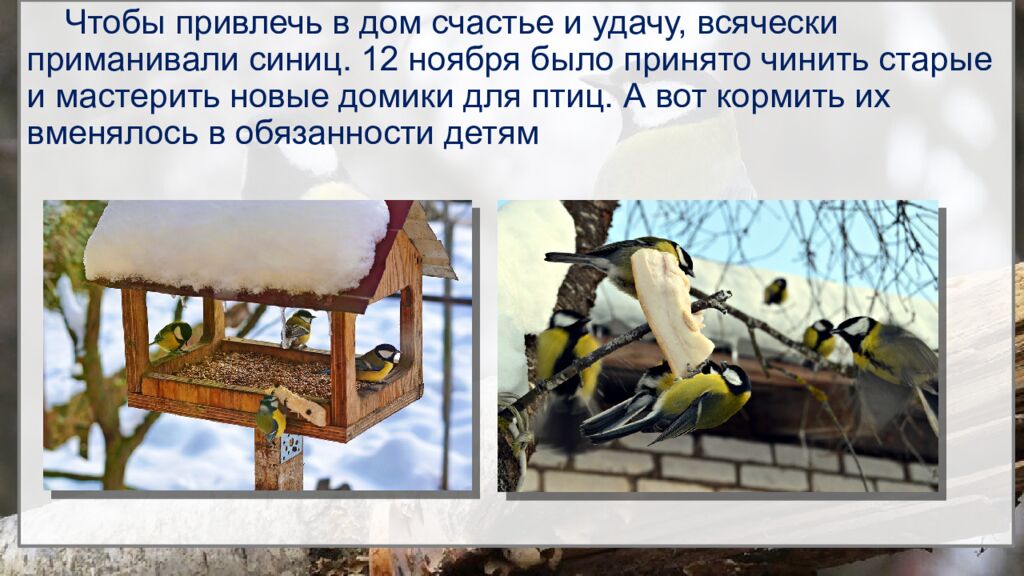 12 ноября – Синичкин день