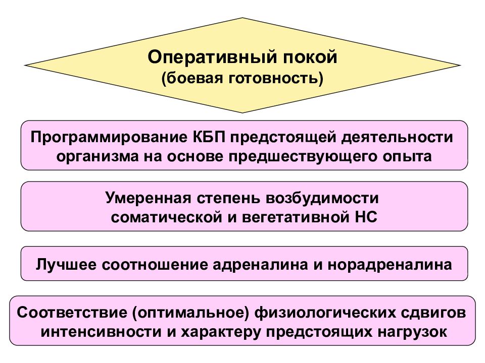 Оперативное состояние. Физиологические состояния организма при спортивной деятельности. Оперативный покой физиология. Физиологические характеристики организма. Физиологическая характеристика состояний организма это.