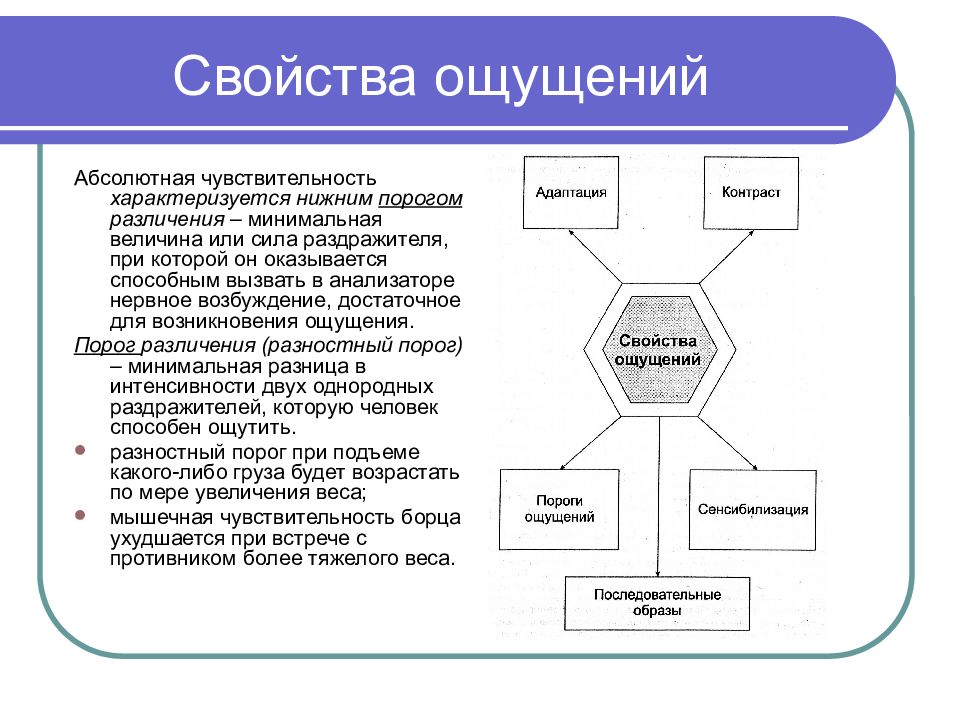 Основные свойства ощущений. Свойства ощущений адаптация. Сенсибилизация свойство ощущения. Свойства ощущений последовательные образы. Свойства ощущений пороги ощущений.