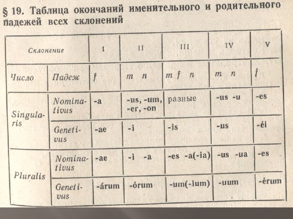 Окончание на язык. Окончания склонений существительных в латинском языке. Падежные окончания склонений в латинском языке. Латинский склонения существительных таблица. Окончания склонений в латинском языке в таблице.