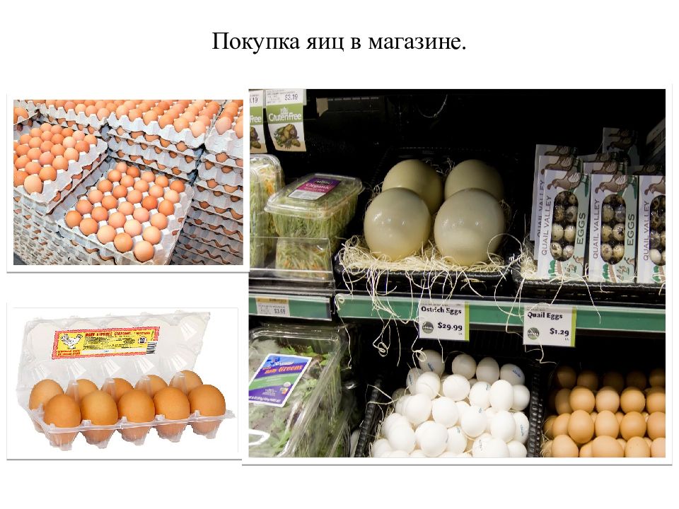 Покупать яйца. Яйца в магазине. Яички в магазине. Коллекцию яиц в магазине. Яйца из магазина.