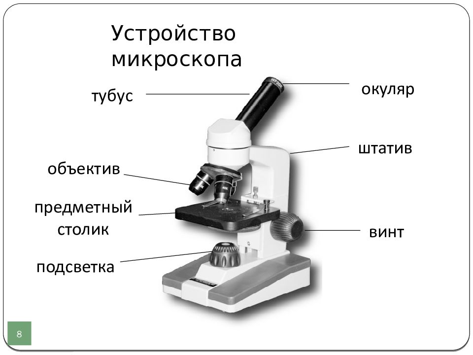 Цифровой микроскоп строение с подписями и названиями. Функция штатива в микроскопе. Штатив для микроскопа составляющие. Штатив микроскопа для чего он нужен. Как поставить микроскоп.