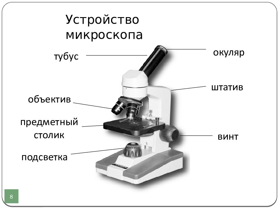 Картинка световой микроскоп