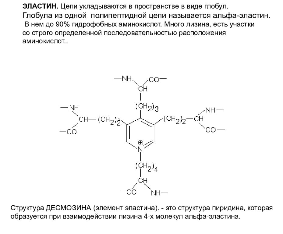 Аминокислота эластин. Эластин строение десмозин. Эластин формула структурная. Эластин структура и функции. Особенности строения эластина.
