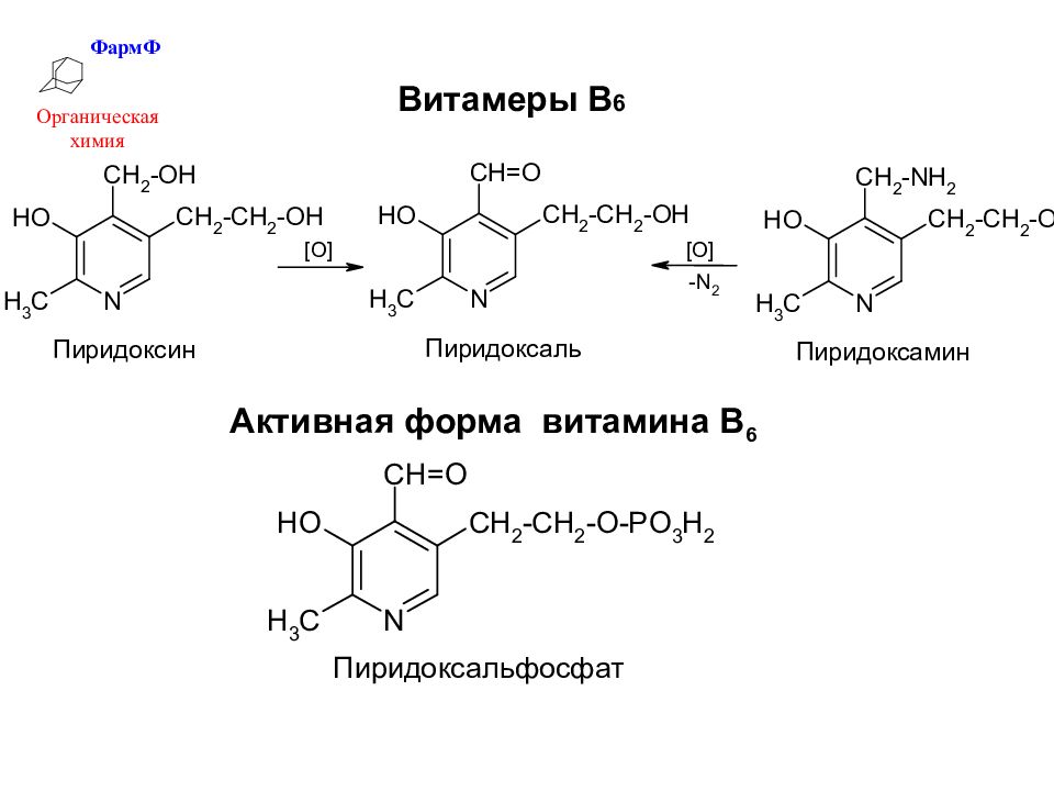 Никотинамид и никотиновая. Реакция витамина в1 с диазореактивом. Реакция тиамина с диазореактивом. Качественная реакция на витамин в1 с диазореактивом. Качественная реакция на витамин б1.