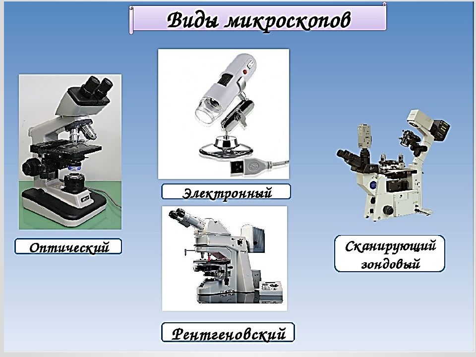 Как работает микроскоп презентация