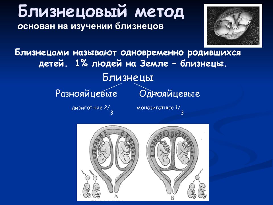 Близнецовый метод картинки для презентации