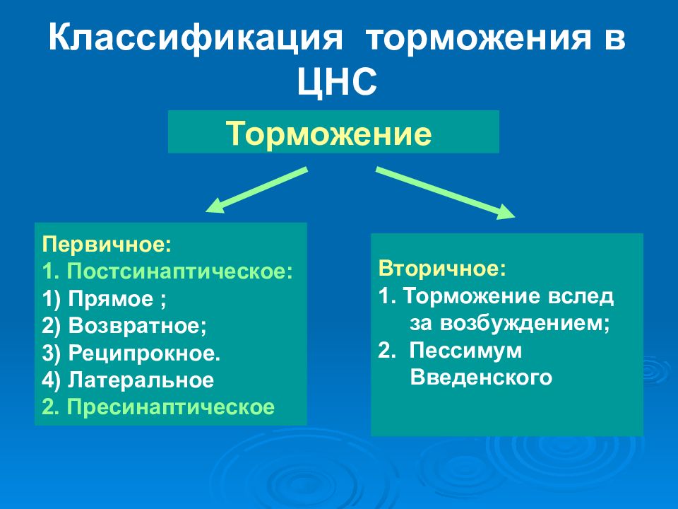 Торможение в цнс физиология презентация