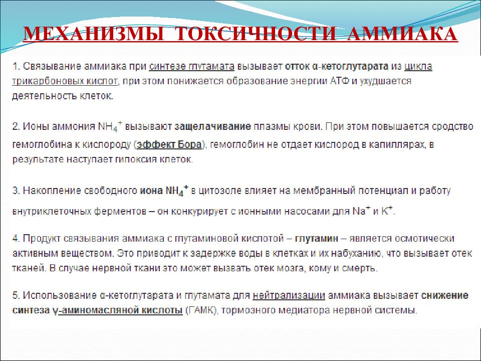 Токсичность тканей. Механизмы токсического действия аммиака биохимия. Мезанизм токсичного действия аммтака. Механизмы токсичности аммиака. Механизмы токсичности аммиака биохимия.