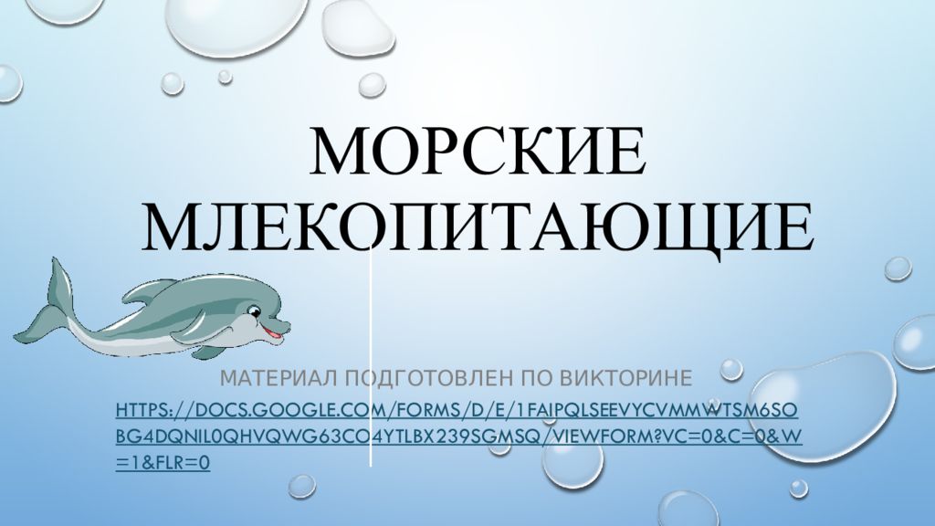 Морские млекопитающие презентация