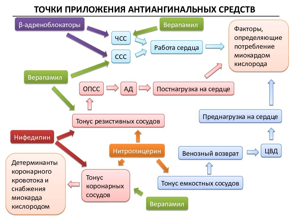 Антиангинальные средства схема