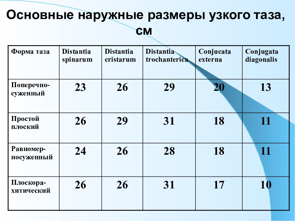 Размеры женского таза презентация