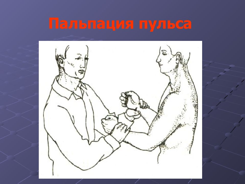 Пальпация больного. Пальпация исследование пульса. Пальпация лучевой артерии.