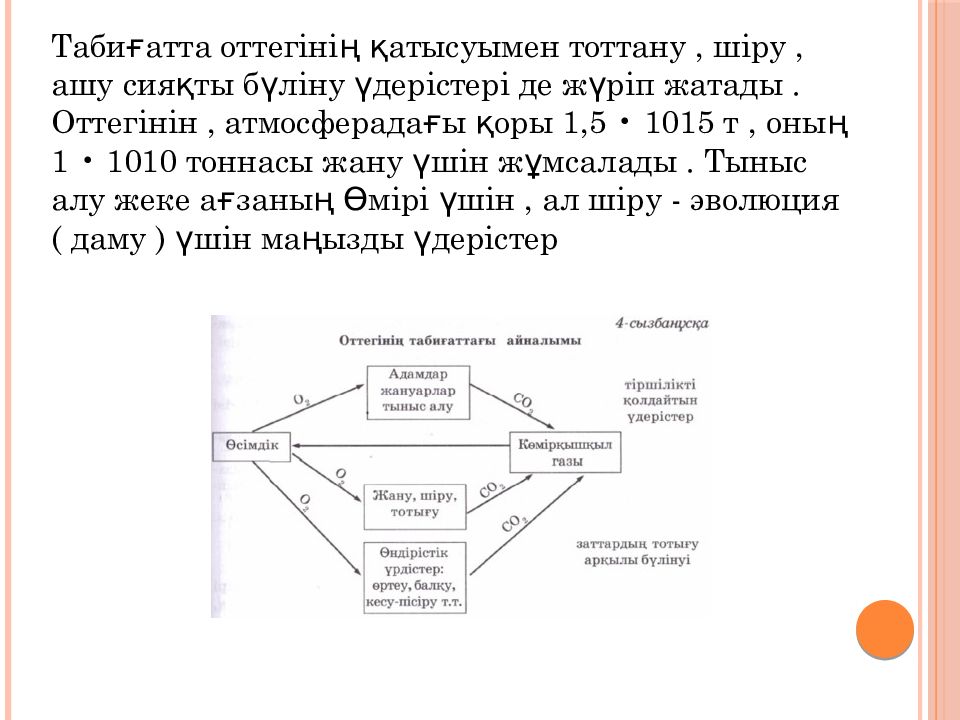 16 vi топ элементтері