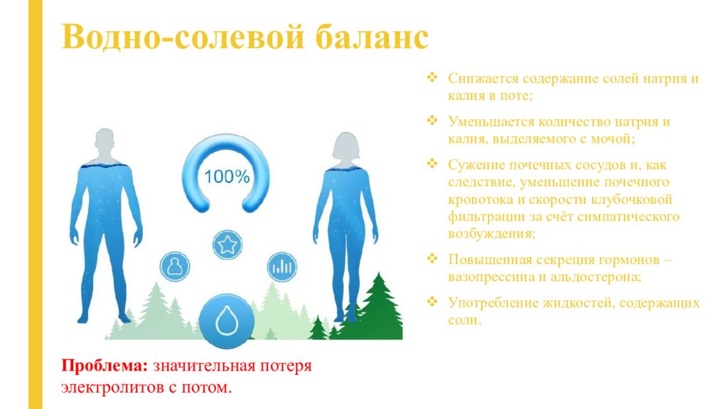 Водно солевой баланс организма человека. Водно-солевой баланс в организме. Водно солевой обмен. Водный баланс в организме.