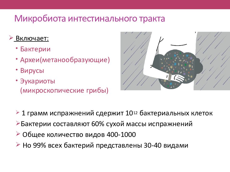 Микробиота человека картинки