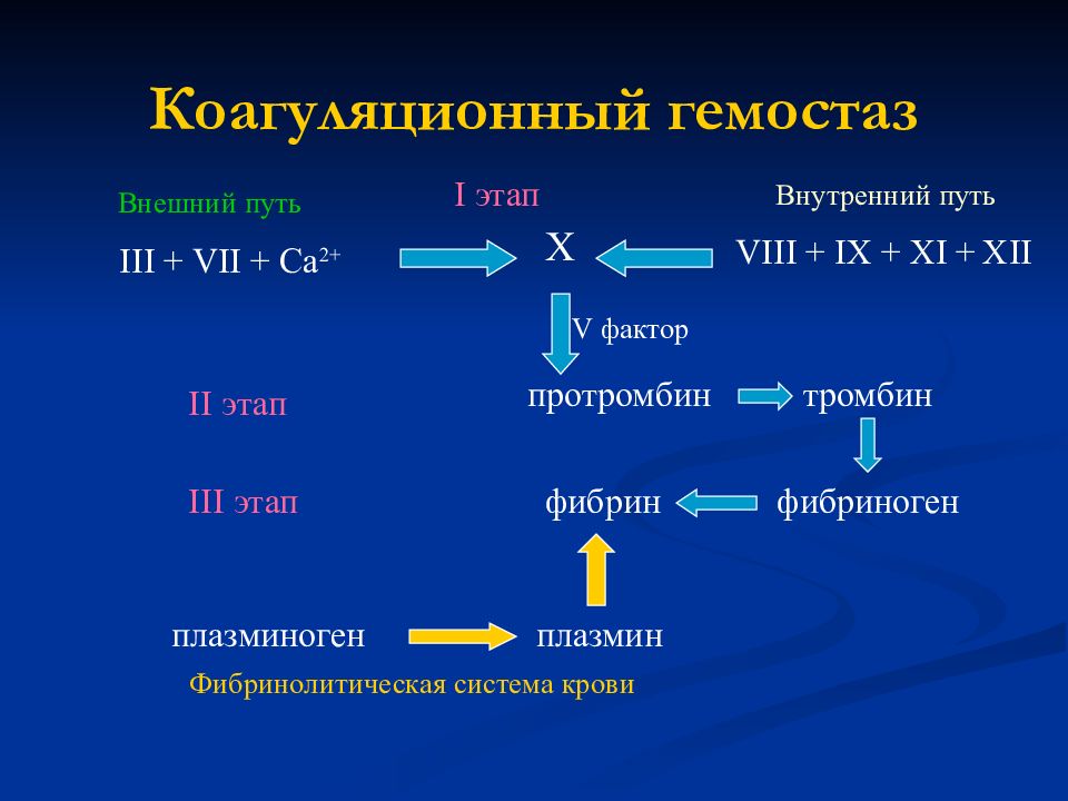 Коагуляционный гемостаз презентация