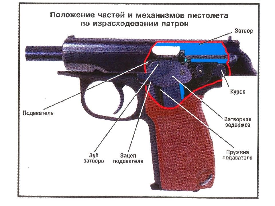 Составляющие пистолета. Положение частей и механизмов пистолета перед выстрелом. Основные части пистолета пи. Затворный механизм ПМ. Расположение затвора и курка на ПМ.