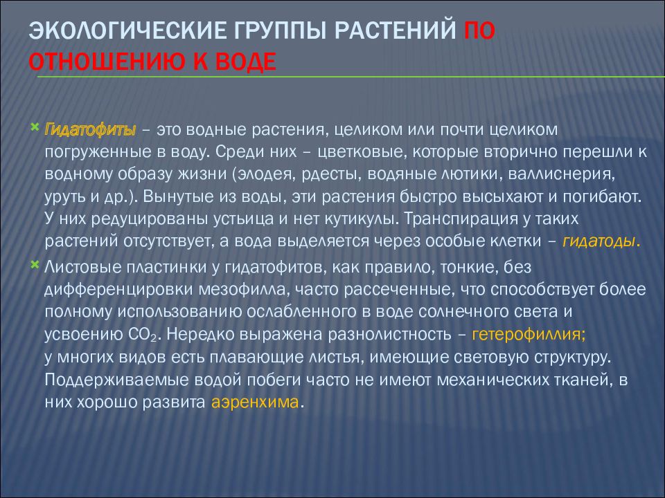 Сообщение группы растений по отношению к воде