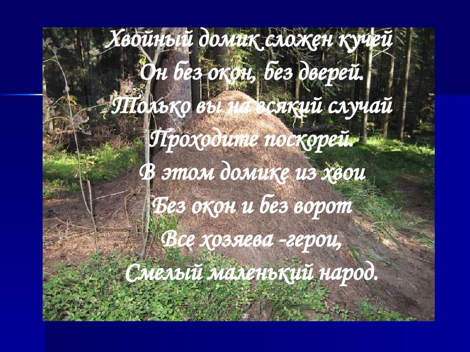 Морган 2016 постер. В лесу росла ,домой пришла. Лесная жизнь. Фильм морган_morgan (2016). В каком лесу жить.