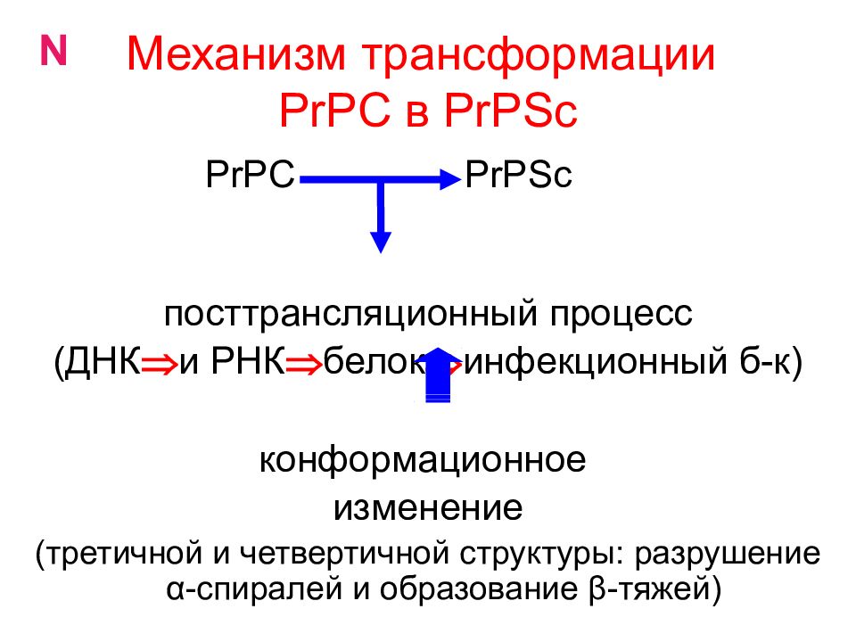 Онкогенные вирусы презентация