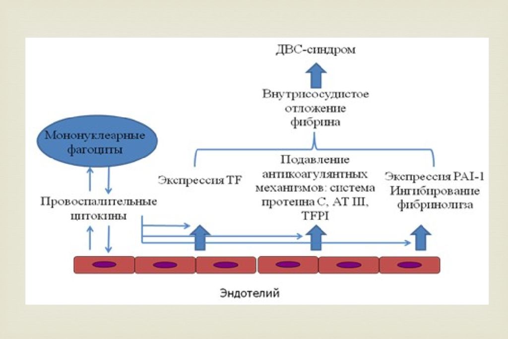 Двс синдром формы