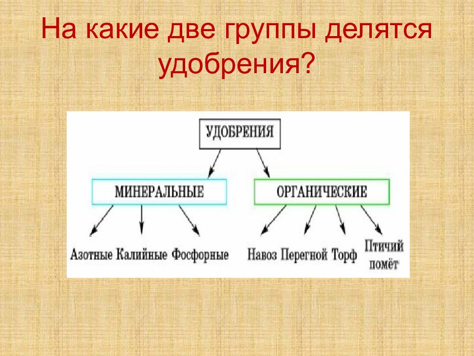 Русский язык делится на группы. Органические и Минеральные удобрения. Две группы удобрений. Классификация Минеральных удобрений. На какие две группы делятся.
