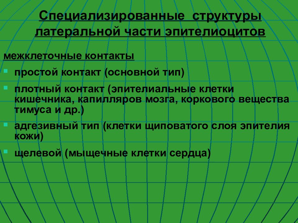 Специализированная структура. Специализированные структуры. Структура тканевого уровня. Специализированный состав. Специализирующая структура.