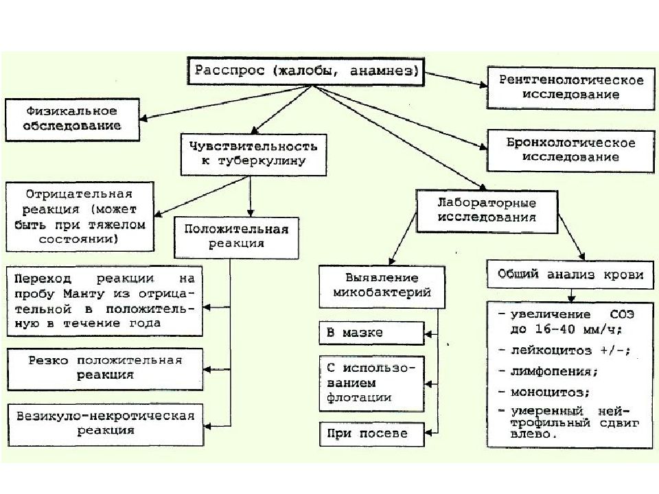 План сестринского процесса при туберкулезе у детей