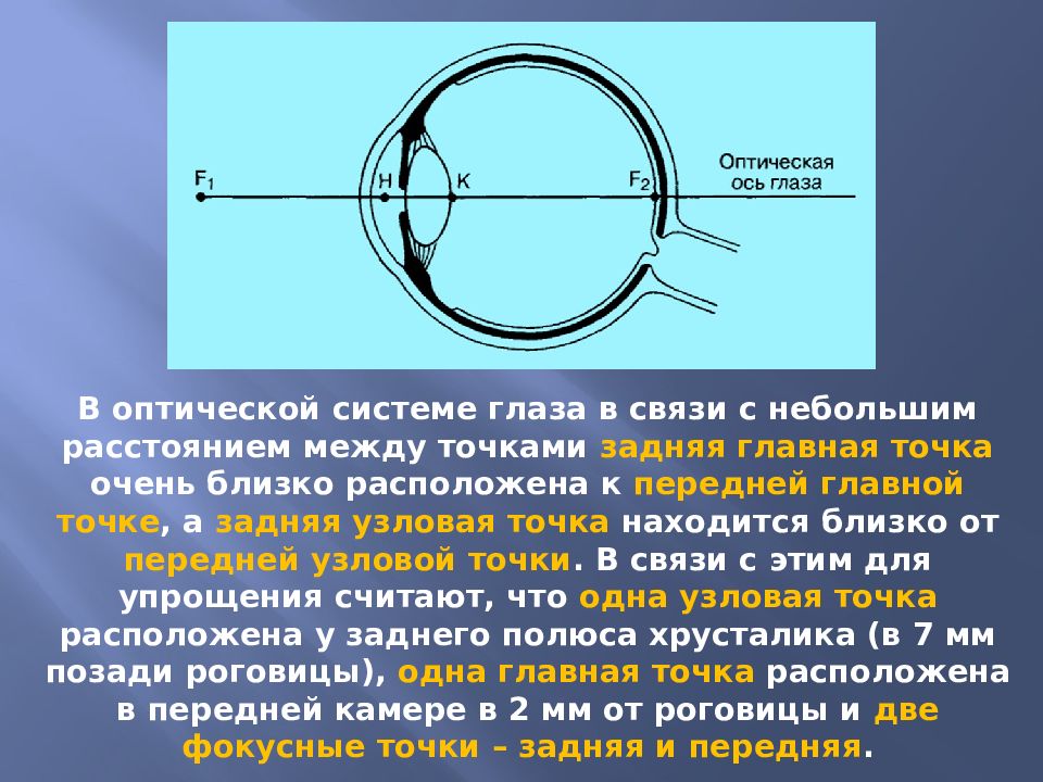 Оптика глаза