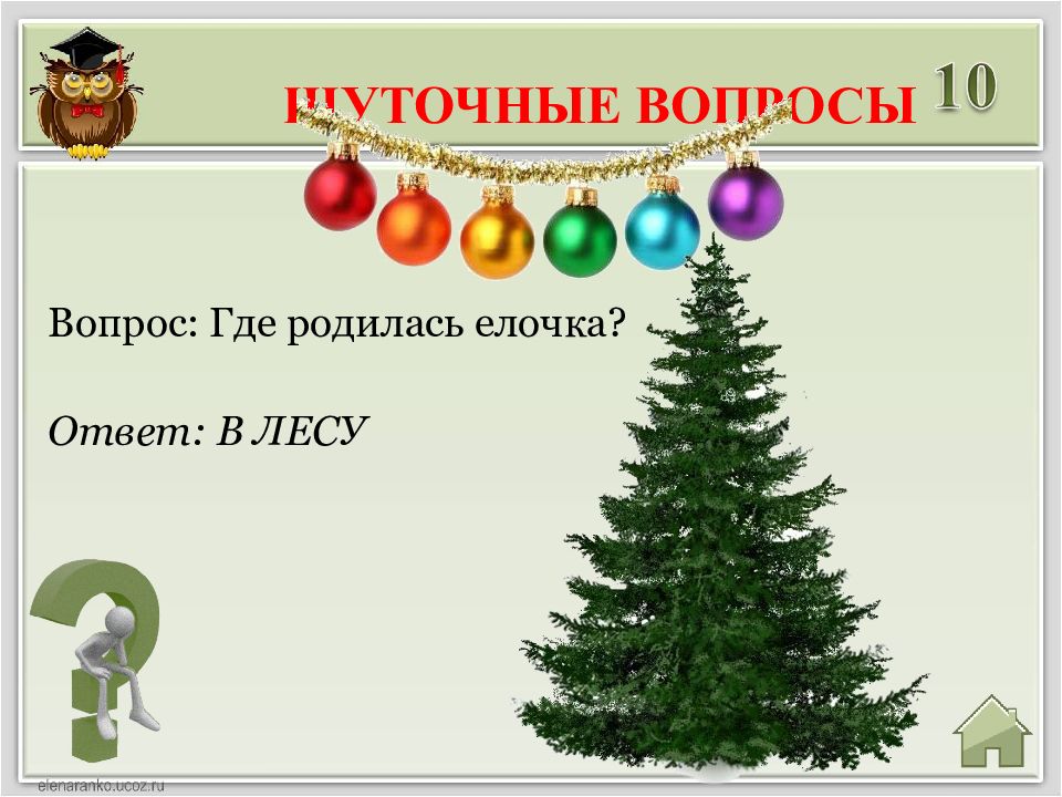 Ответ был елка. Елочка с вопросом. Вопросы про елку. Вопросы с ответами о елке.