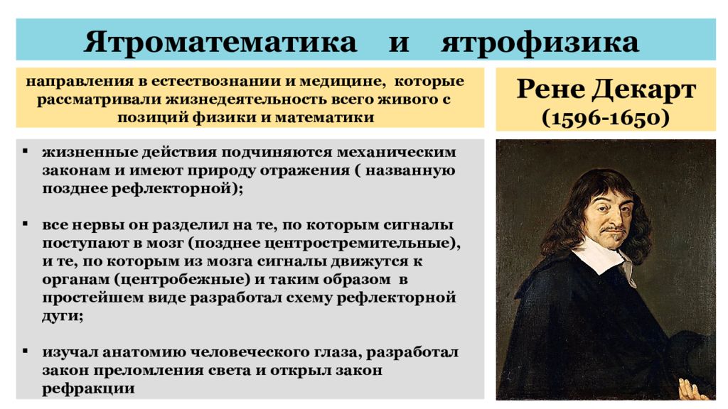 Направление в западной европе. Рене Декарт в ятрофизики. Декарт эпоха Возрождения. Ятроматематика. Ятрофизика ЯТРОМЕХАНИКА Рене Декарт.