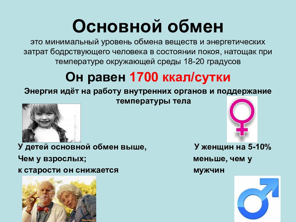 Физиология обмен веществ презентация