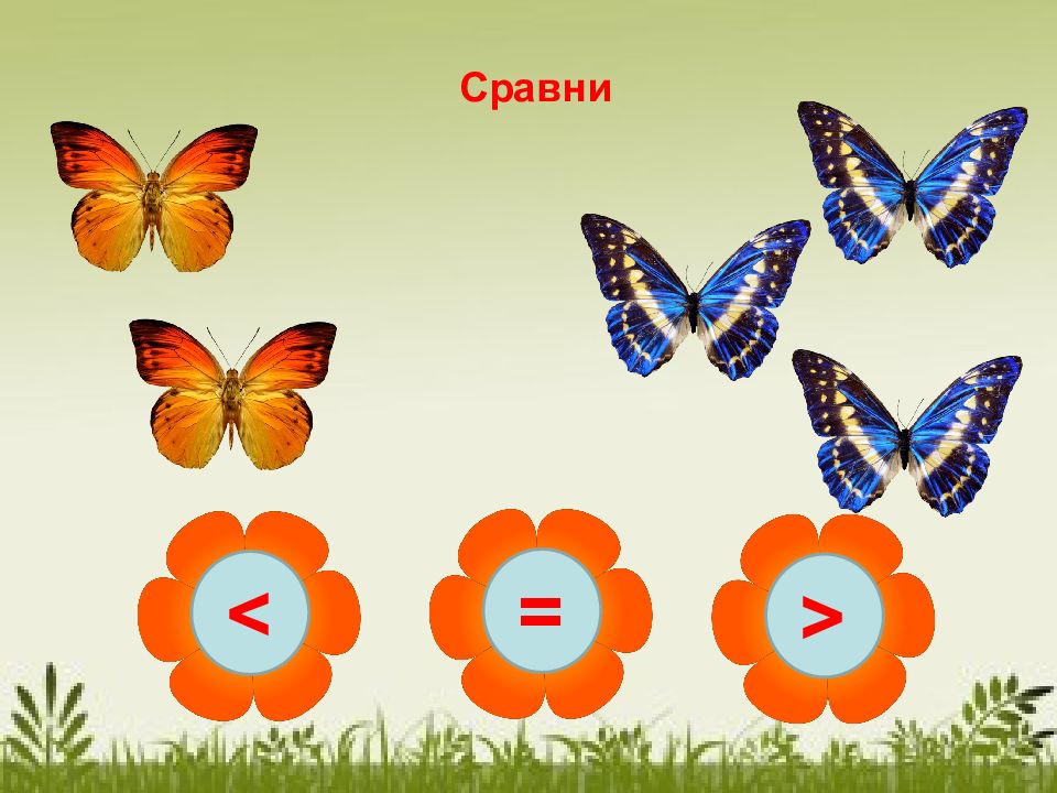 Презентация бабочки для дошкольников подготовительная группа