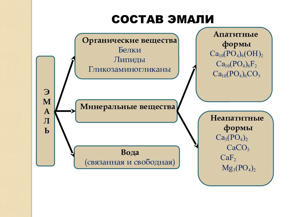 Биохимия тканей зуба презентация