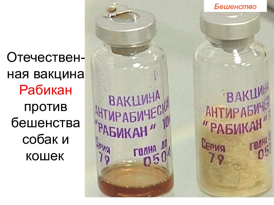Рабикан инструкция вакцина от бешенства для животных