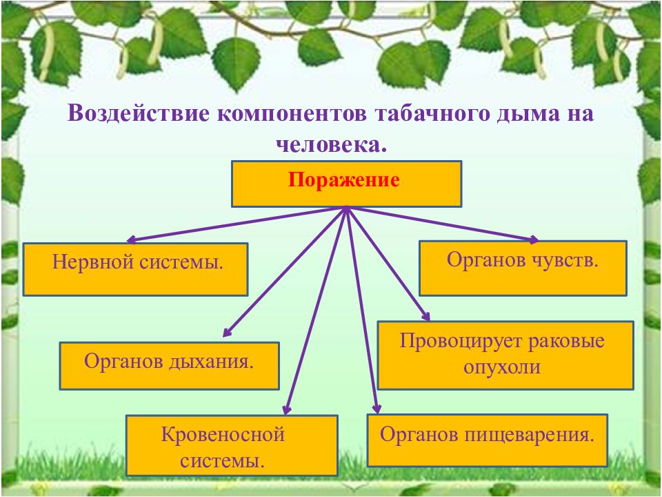 Презентация на тему социальная экология