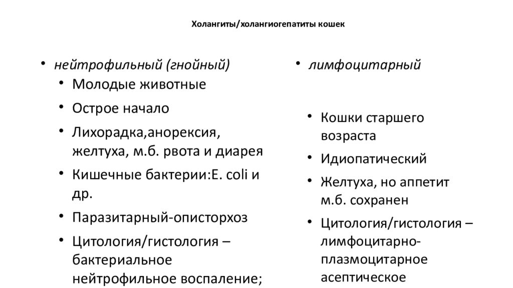 Симптомы Холангиогепатита у кошек