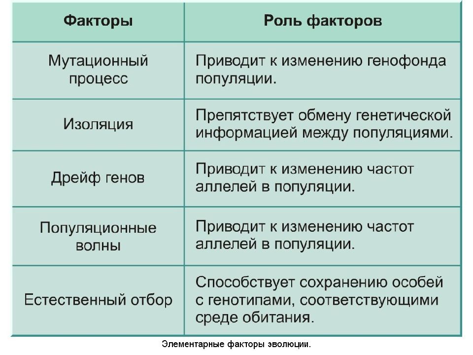 Эволюционные факторы схема